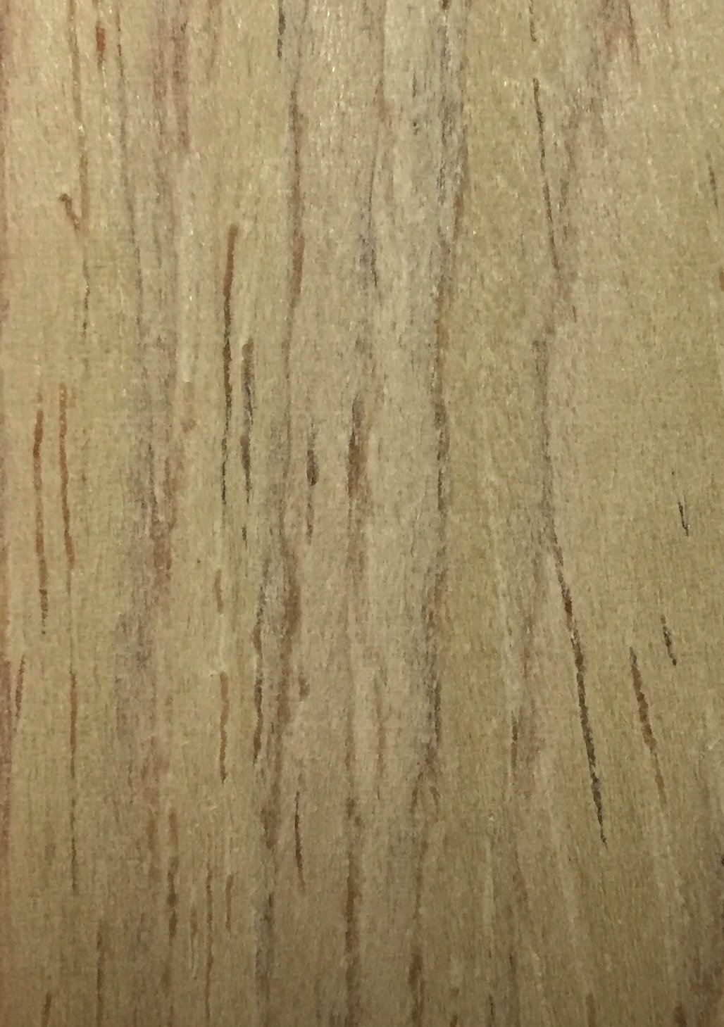 VHT03-2 (Oak)