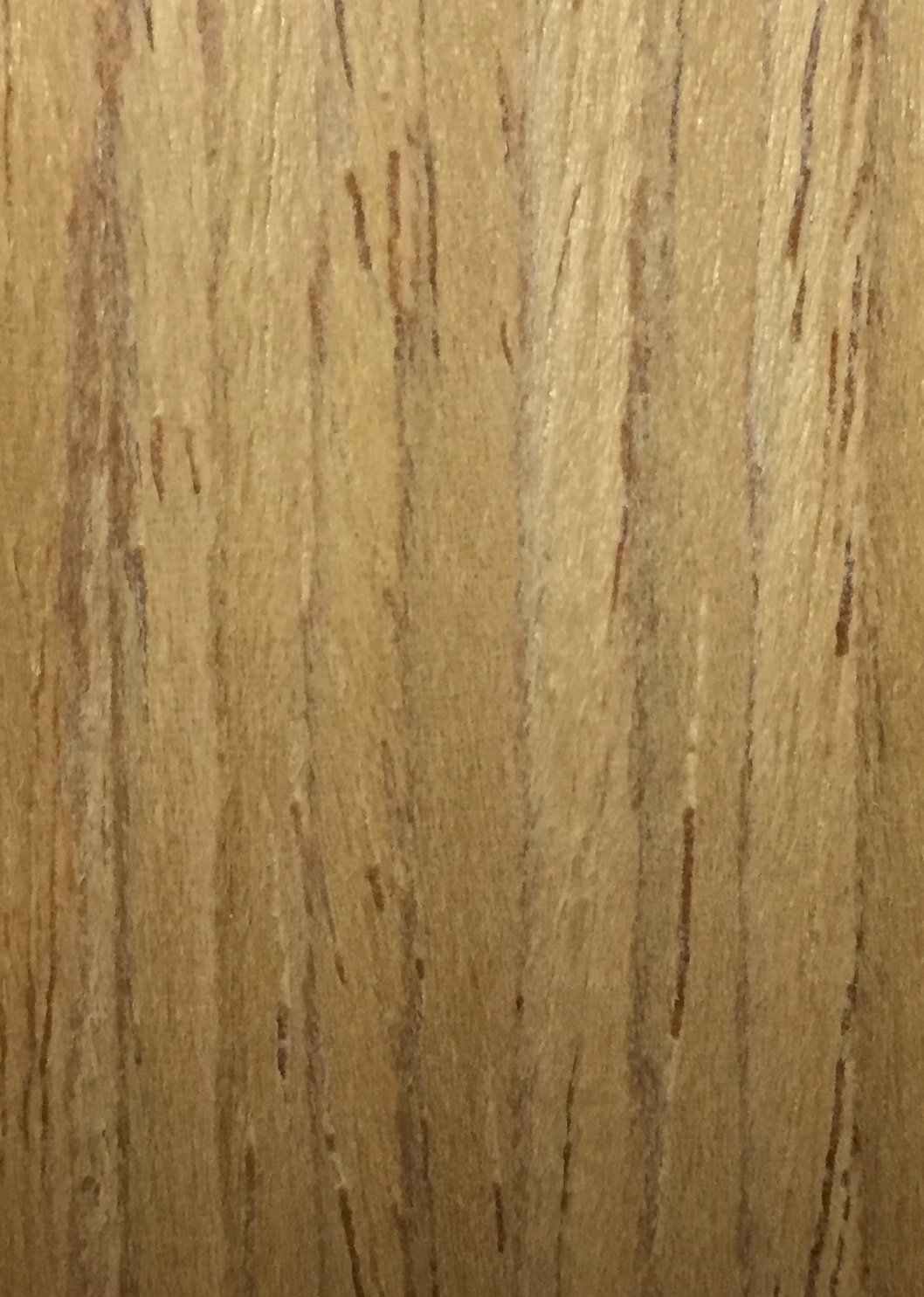 VHT18 (Mystic Oak)
