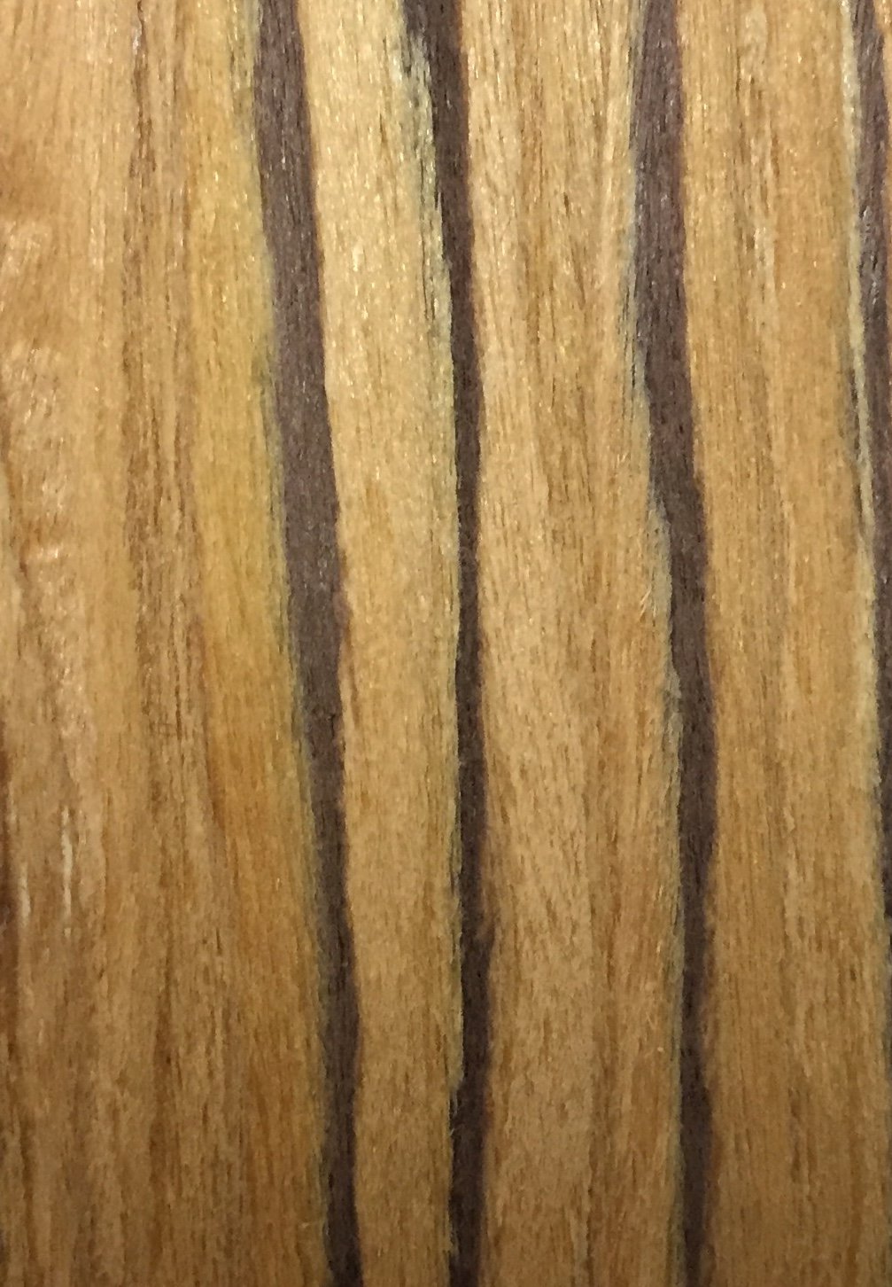 VHT37 (Zebrano)