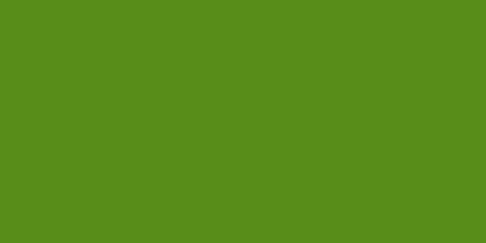 MFC - MS 074 T