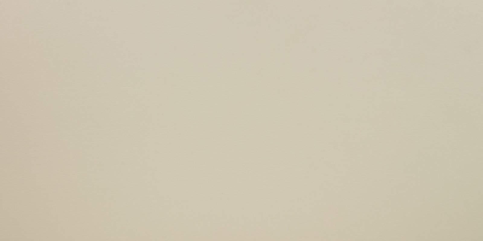 MFC - MS 221 PL