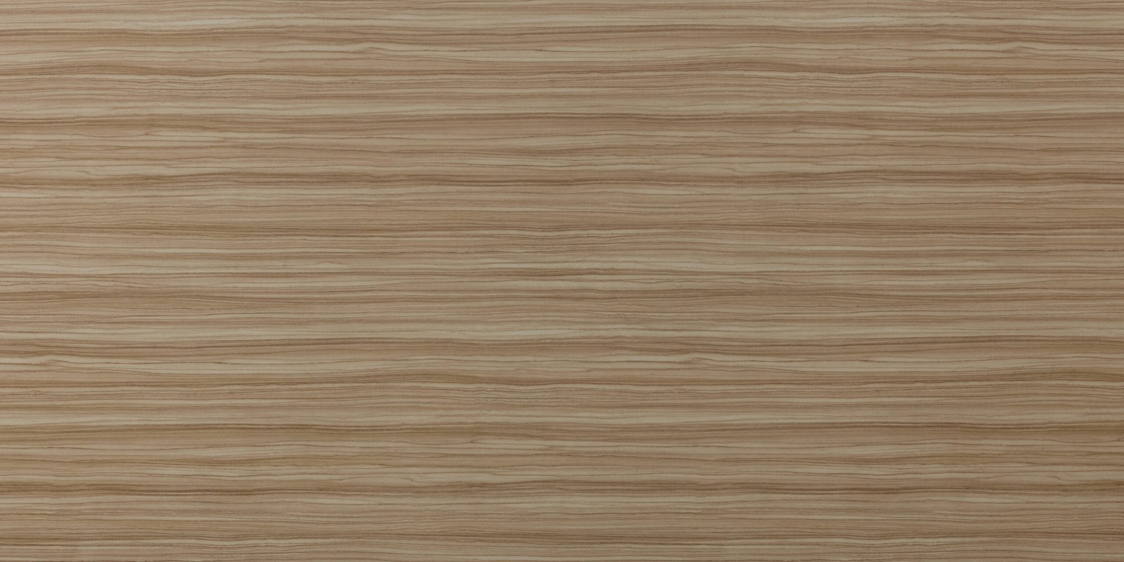 MFC - MS 24009 T