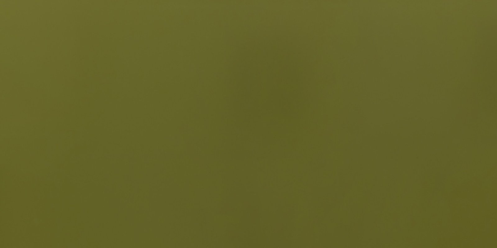 AC 40 (Pica green-Asia)