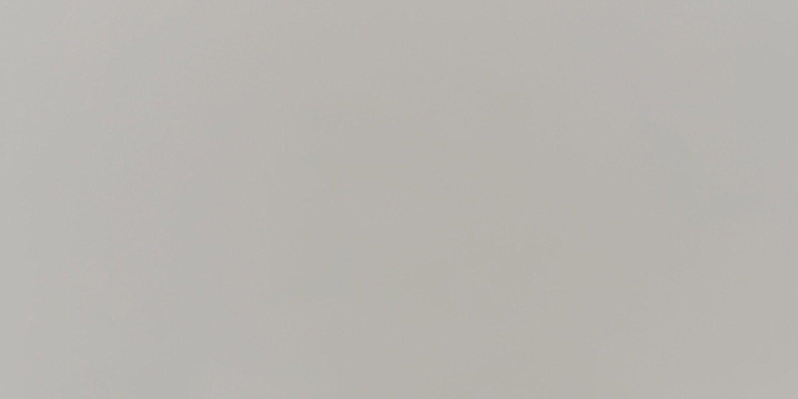 AC 63 ( Grey Matt - Austria)